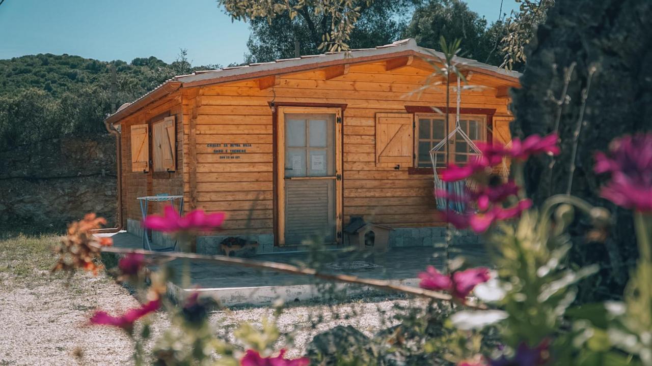 Chalet Sa Petra Ruja - Gadu E Tremene 시니스콜라 외부 사진