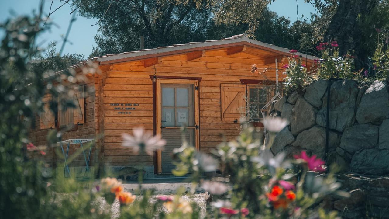 Chalet Sa Petra Ruja - Gadu E Tremene 시니스콜라 외부 사진